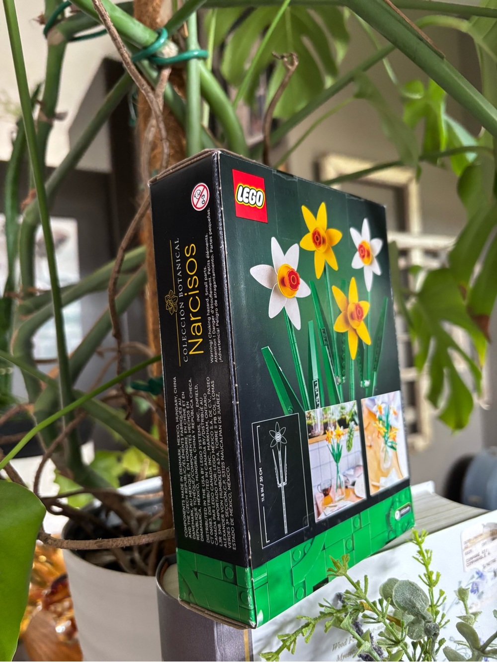 LEGO Botanical Collection - Daffodils - Picture 2 of 7